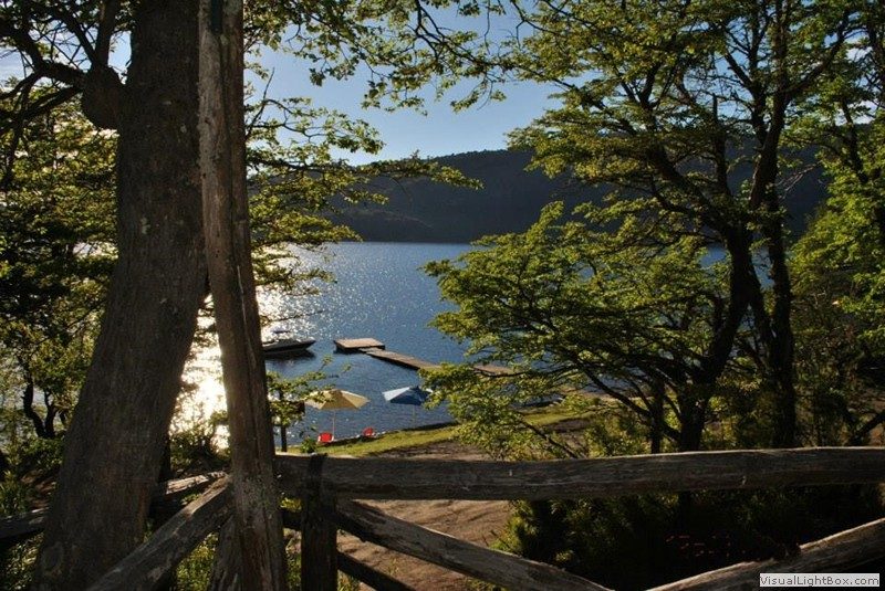 Vista del lago Moquehue entre los árboles